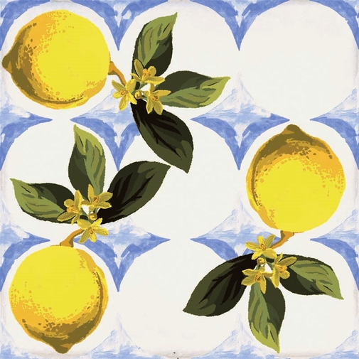 Carrelage en grès cérame décoré, Glossy White Garden 20x20 cm - Vita, Ceramica Sant'Agostino