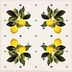 Decorated porcelain stoneware tiles, Giardino Bianco Mix Lucido 20x20 cm - Vita, Sant'Agostino