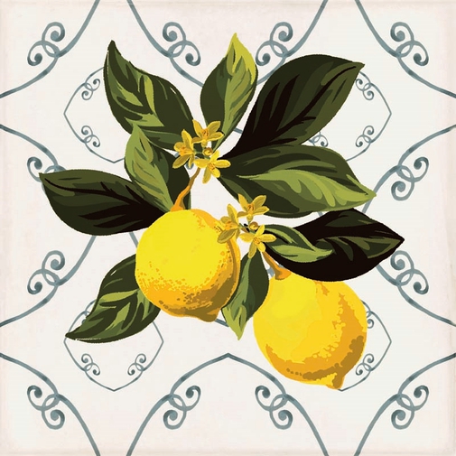 Decorated porcelain stoneware tiles, Giardino Bianco Mix Lucido 20x20 cm - Vita, Sant'Agostino