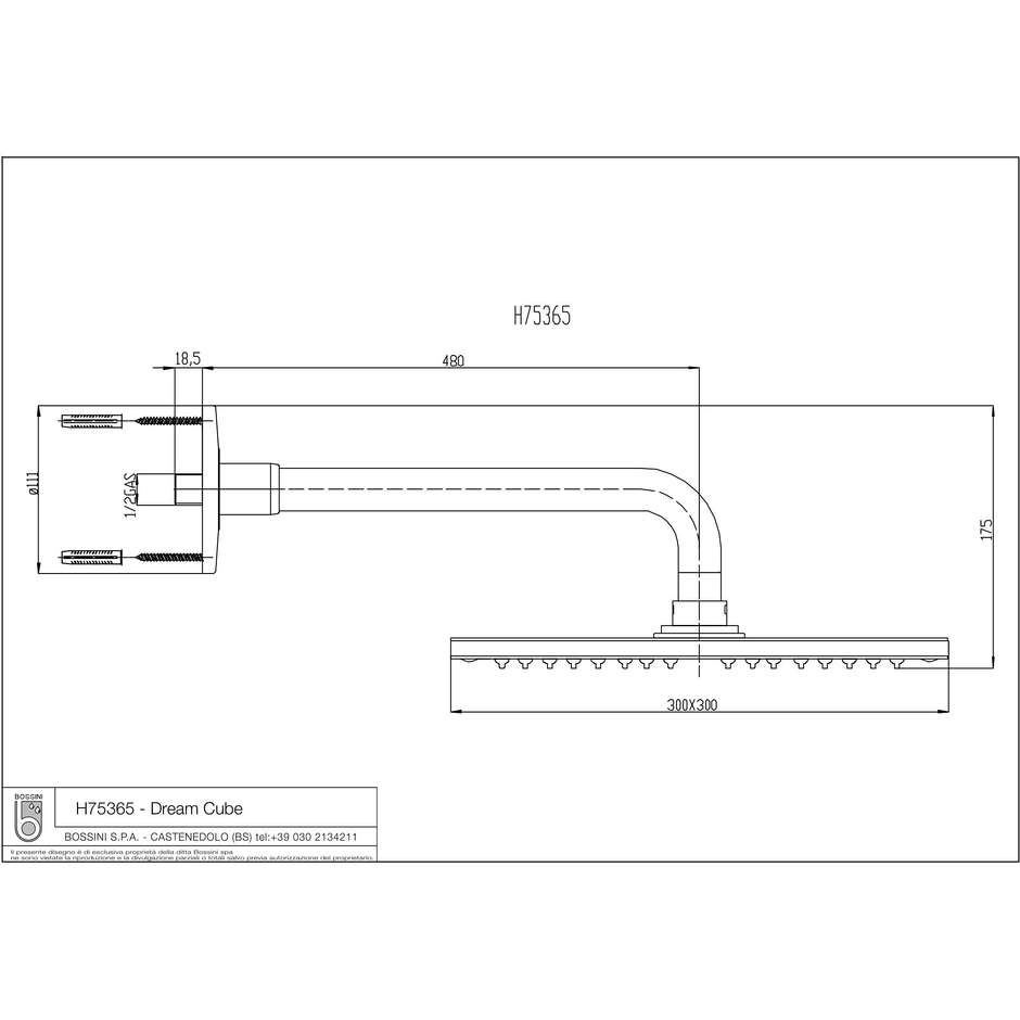 Exclusive design shower head 30x30 cm, wall arm 50 cm - Dream Cube, Bossini