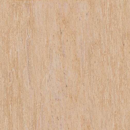 Piastrella in gres porcellanato 60x60 cm Eldorado - Amazzonia, Casalgrande Padana