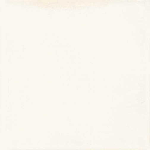 Piastrella in gres porcellanato, Bianco Lucido 20x20 cm - Vita Ceramica Sant'Agostino