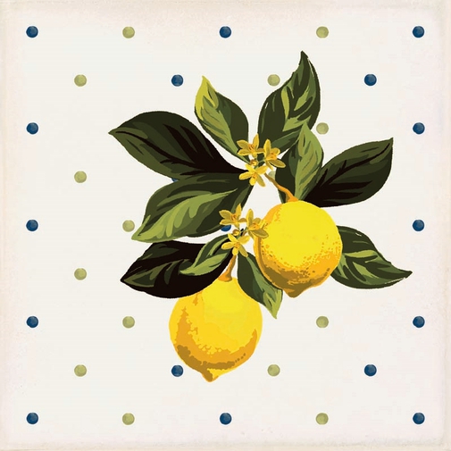 Piastrelle decorate in gres porcellanato, Giardino Bianco Mix Lucido 20x20 cm - Vita, Sant'Agostino