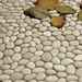 Real river stone wall/floor mosaic, white 28x28 - Isonzo Formella, Boxer